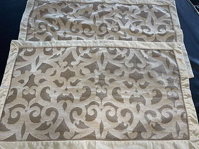 Madison Park King Size 39” X 23” Pillow Shams Covers Set Of 2 EUC Velour Border