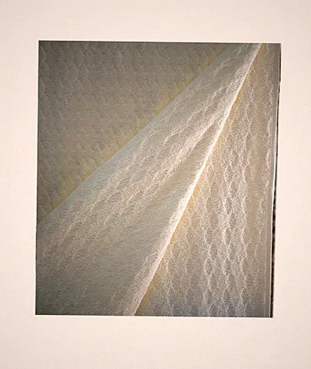 NEW! Supple Cotton Terry Jacquard Velour Blanket, 60″ X 80″