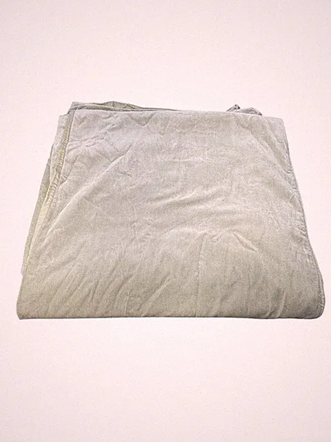 Pottery Barn Light Green Cotton Velour Velvet KING Duvet Cover Whimsical Cottage