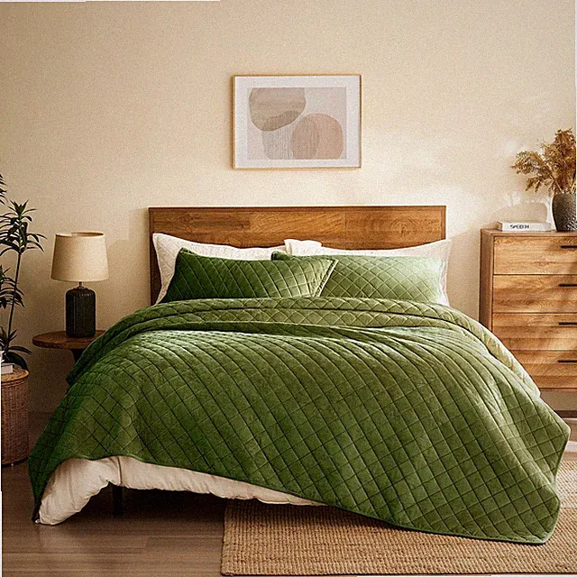 Velvet Quilt Queen Size: 3-Piece Reversible Luxury Velvet Bedding Comforter S...